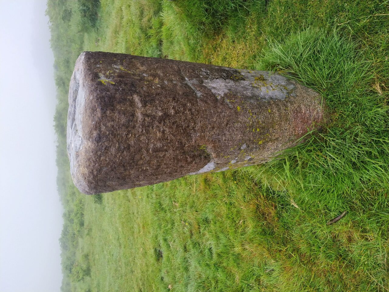 IMG 20200613 084907
