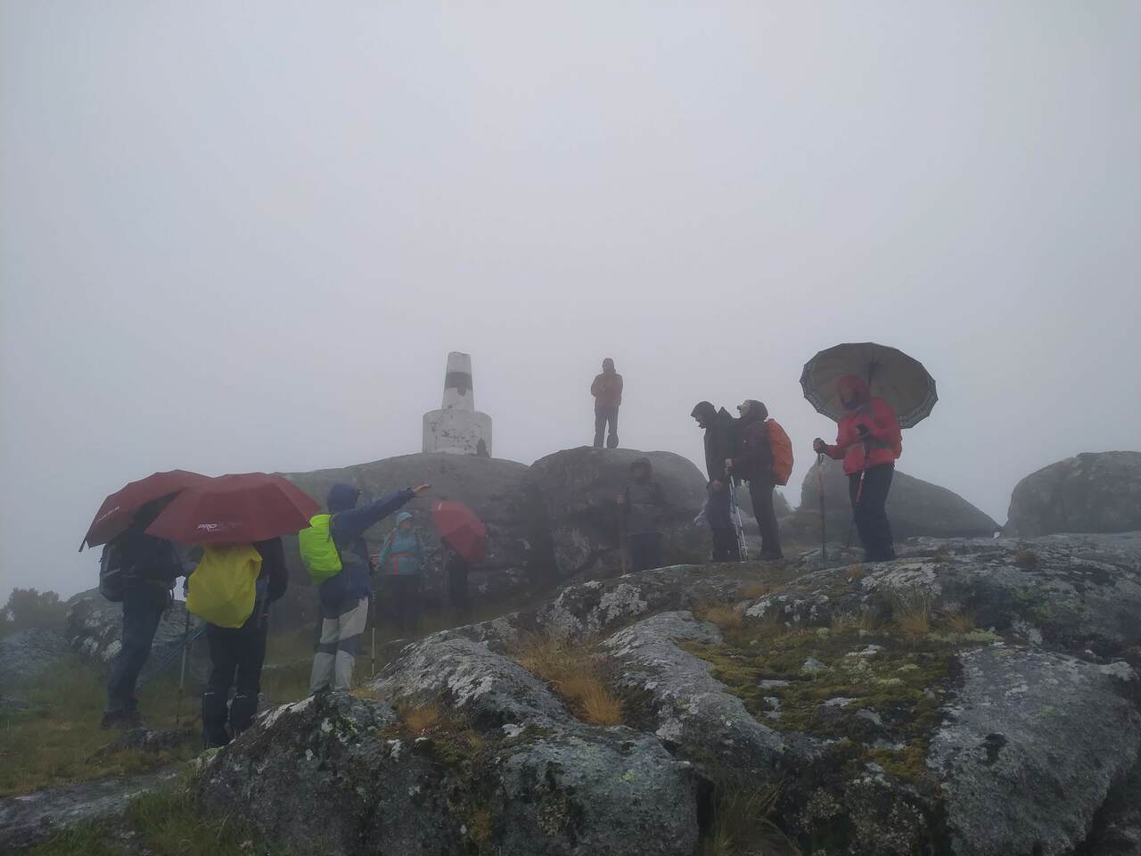 IMG 20200613 093322
