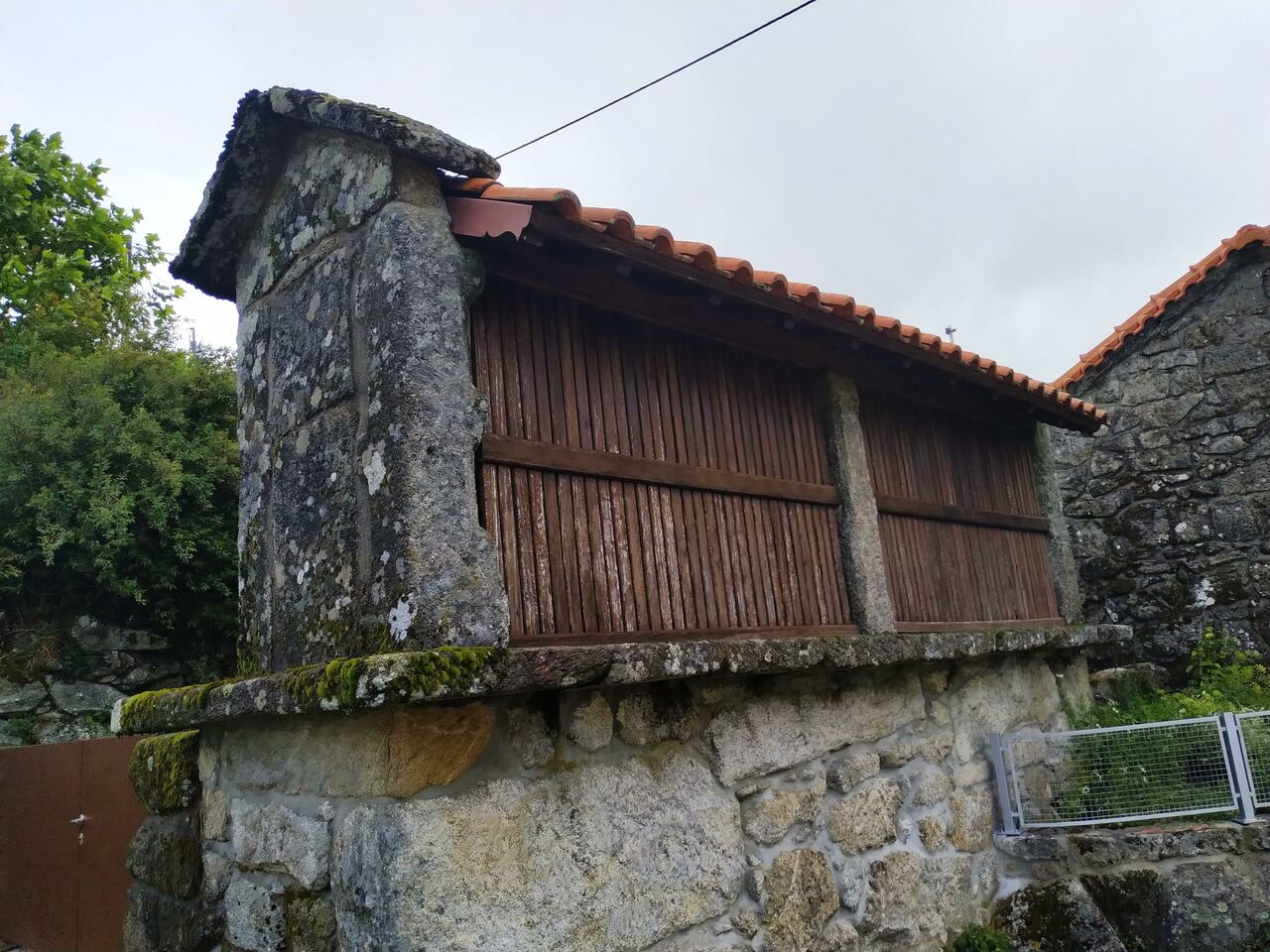 IMG 20200613 110650