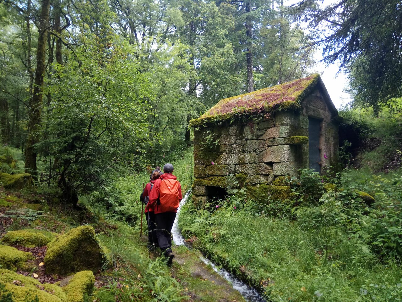 IMG 20200613 122639