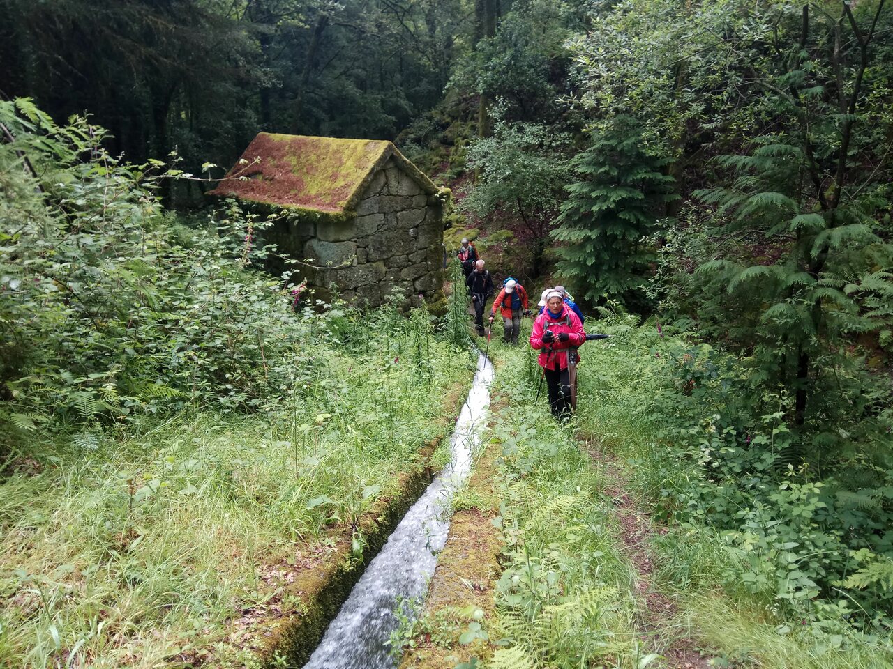IMG 20200613 122736