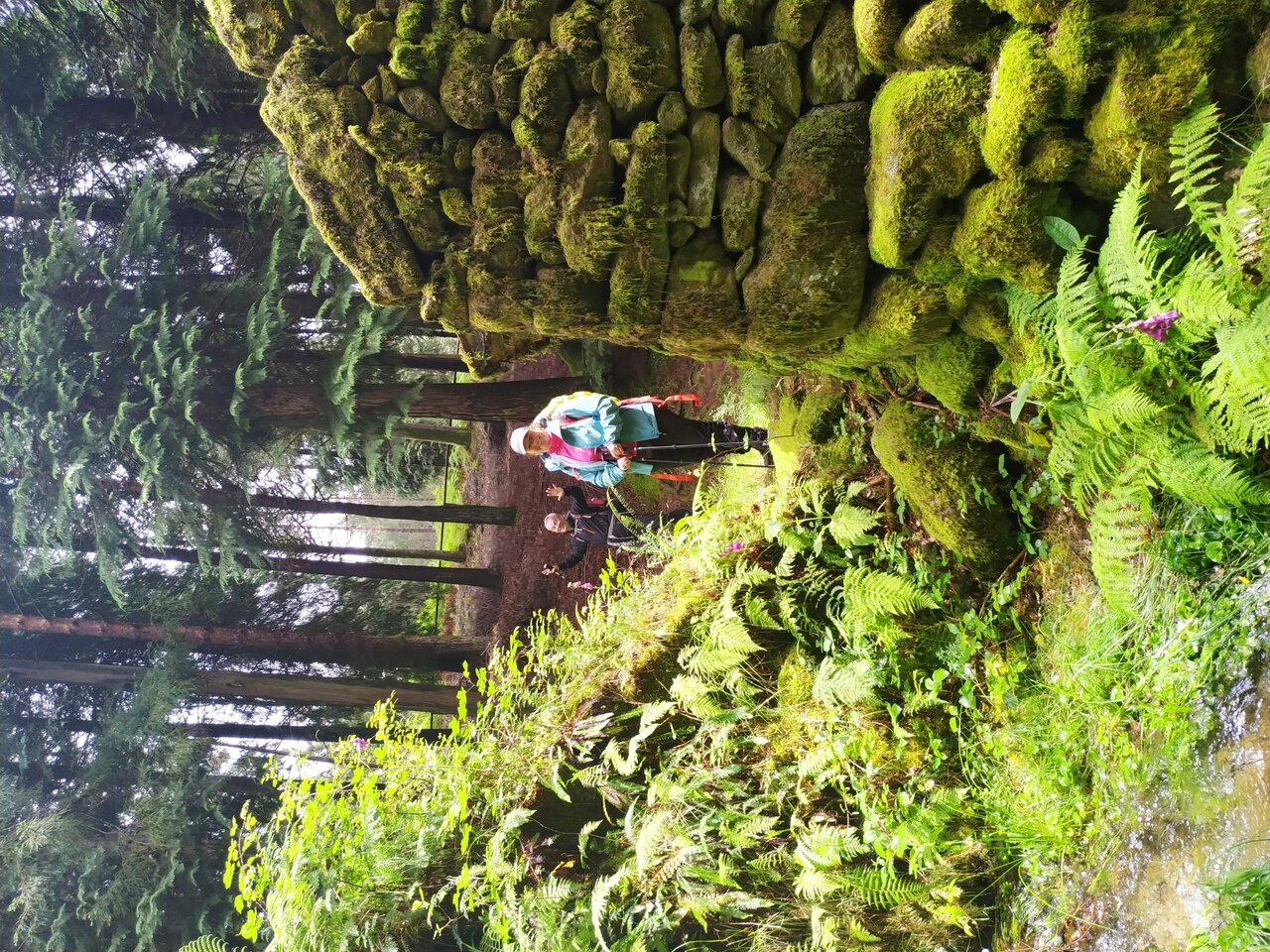IMG 20200613 125615