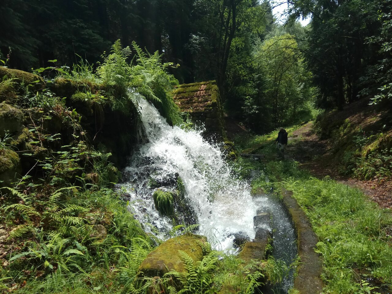 IMG 20200613 125852