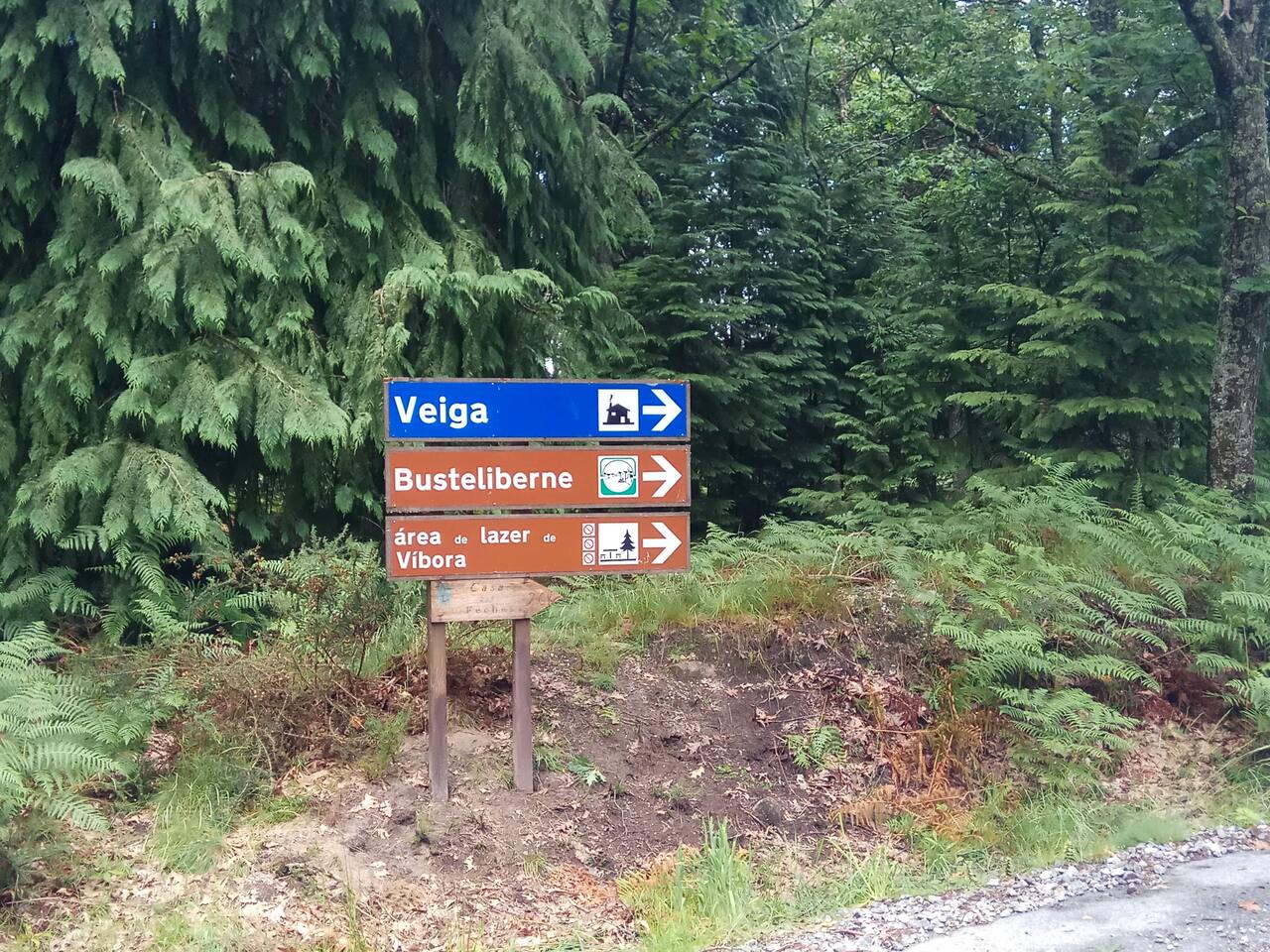 IMG 20200613 130130