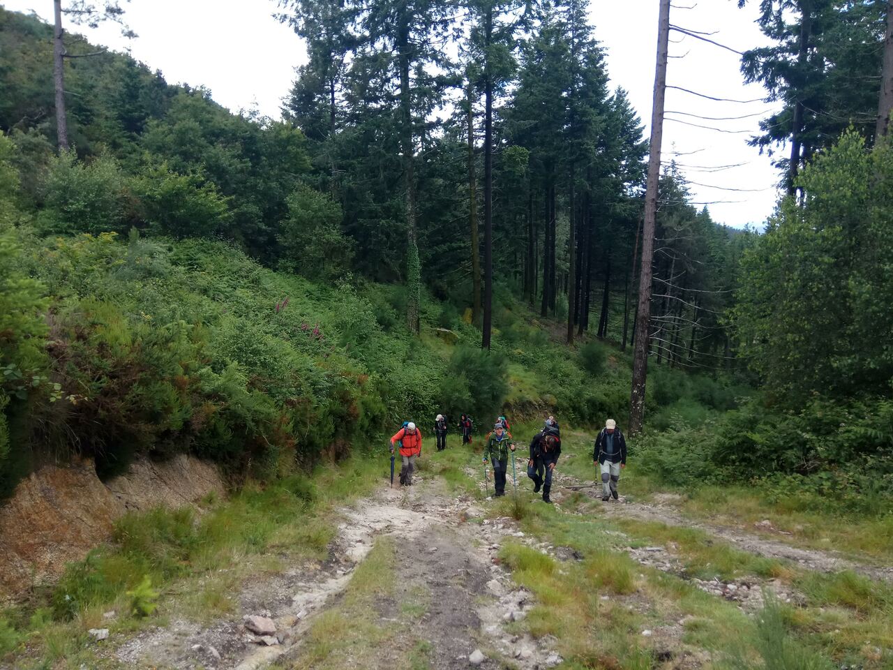IMG 20200613 133344