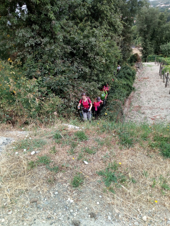 IMG 20200627 083743