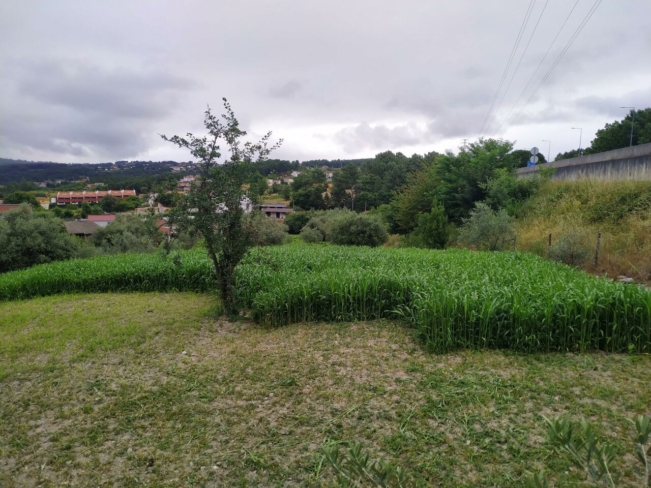 IMG 20200627 083802