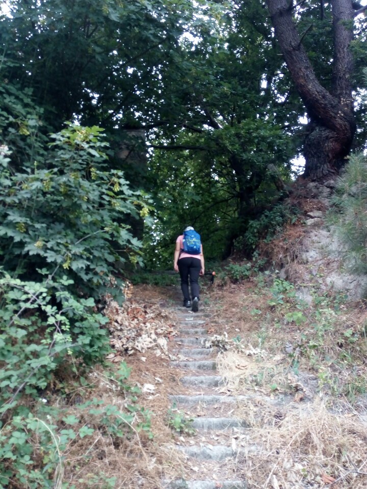 IMG 20200627 083839