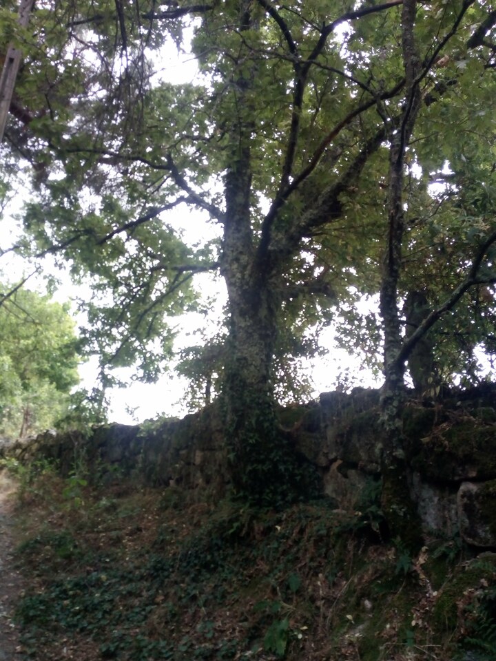 IMG 20200627 084021