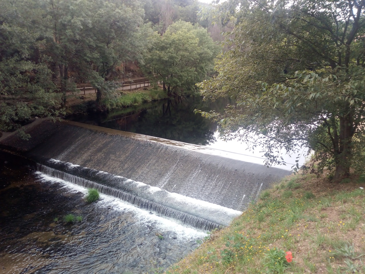 IMG 20200627 091446