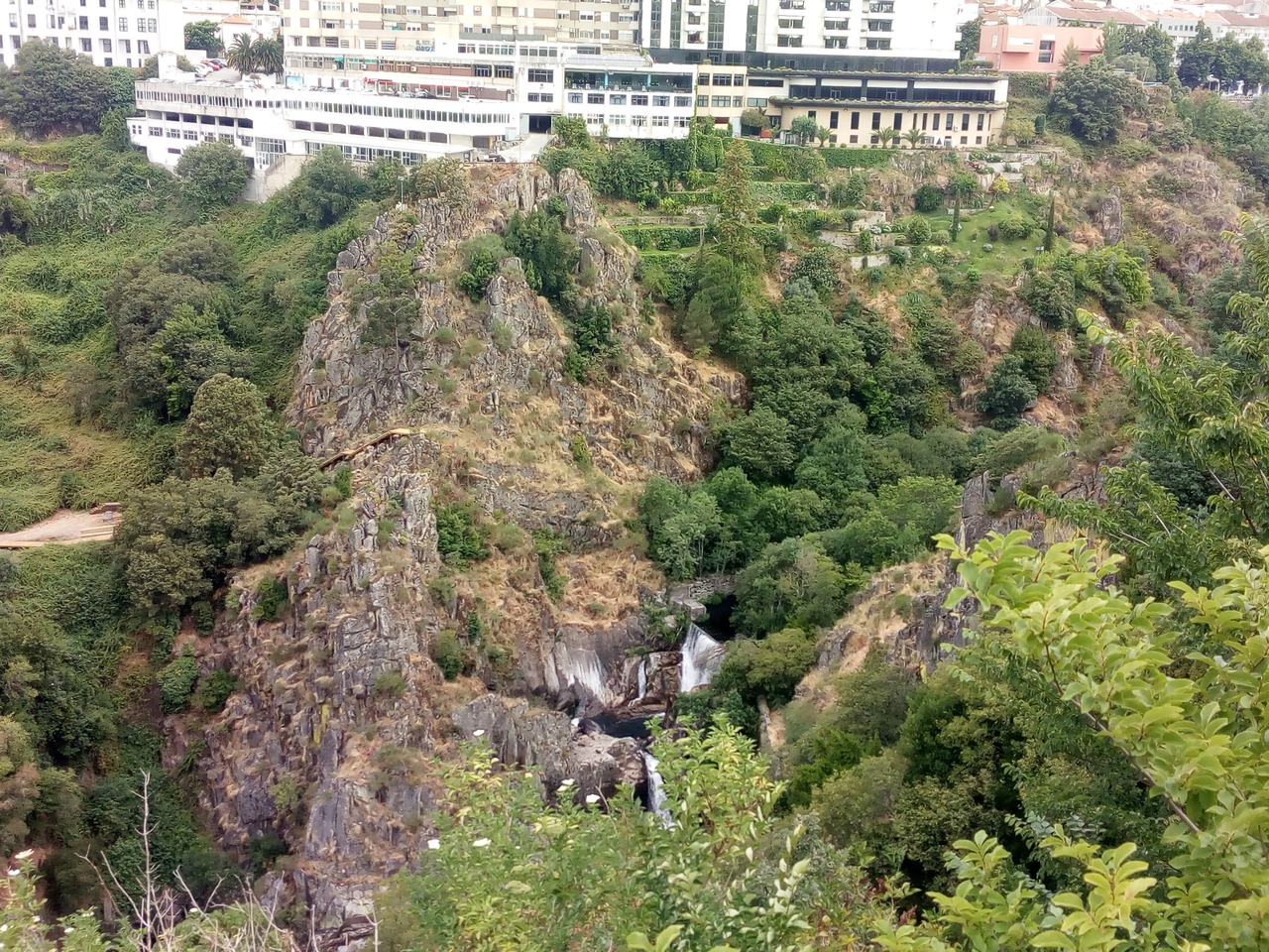 IMG 20200627 094601
