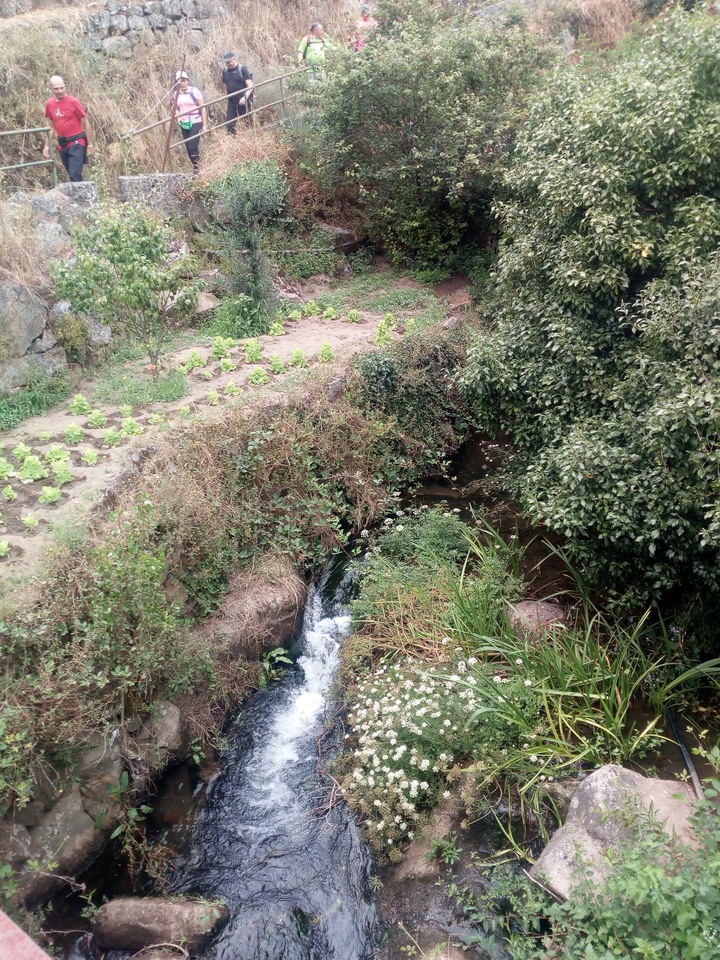 IMG 20200627 095107