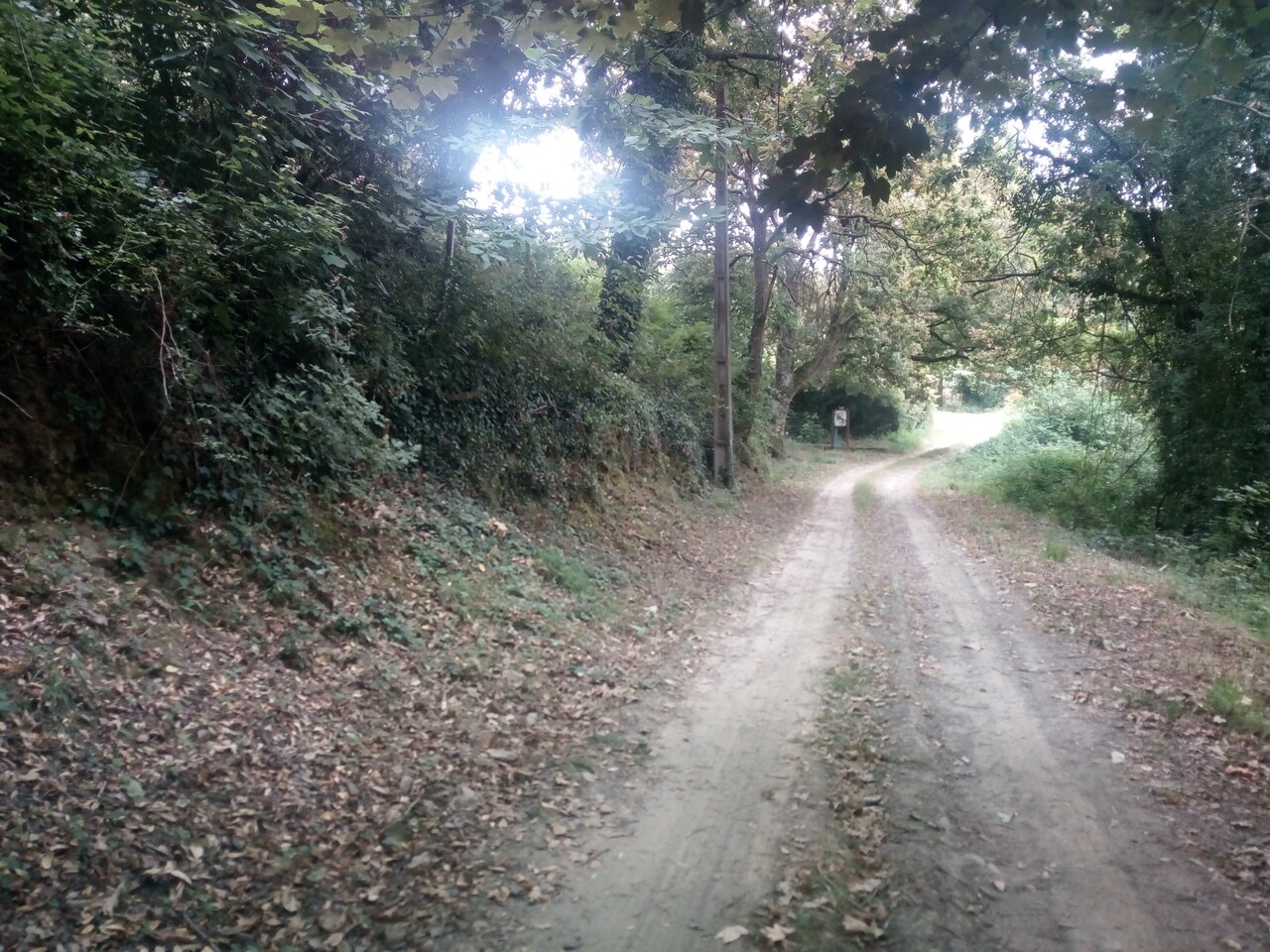 IMG 20200627 095808