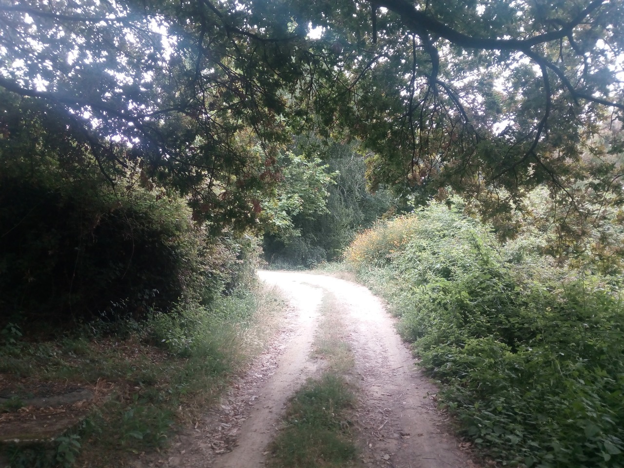 IMG 20200627 095840