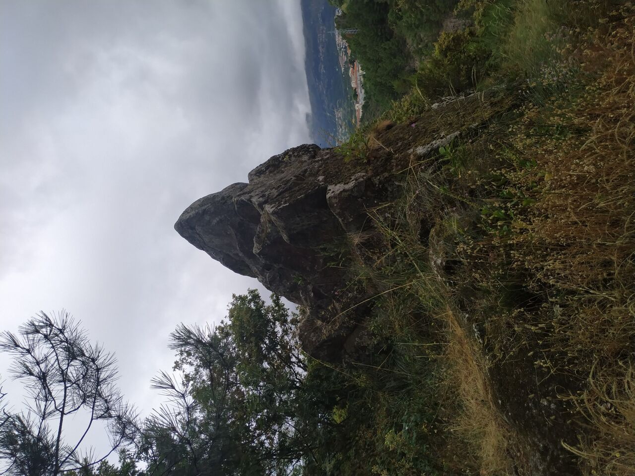 IMG 20200627 100559