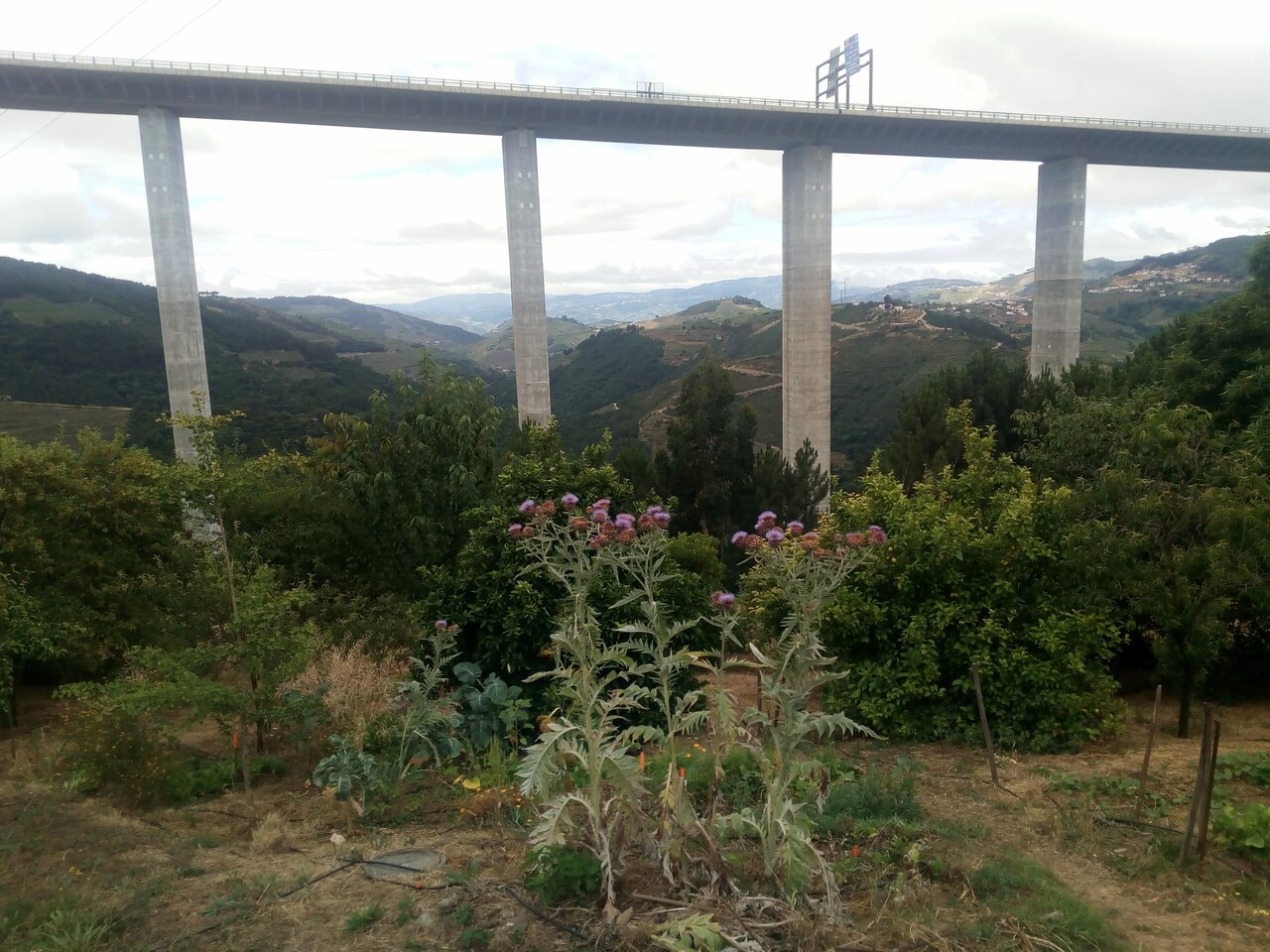 IMG 20200627 103005