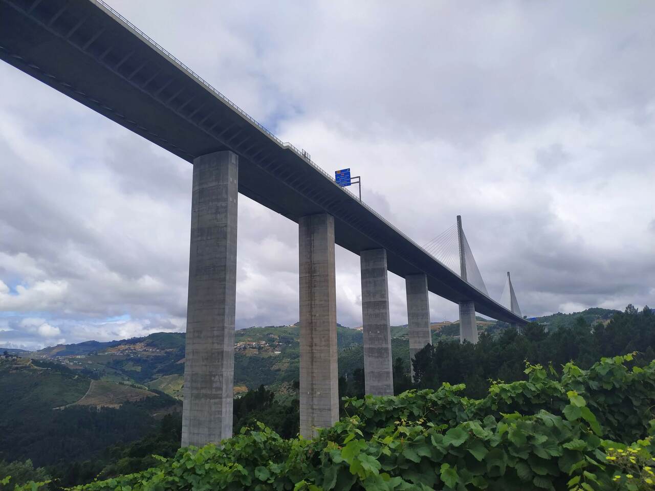 IMG 20200627 103237