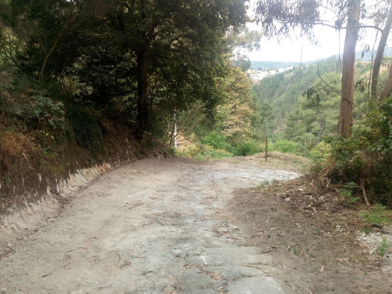 IMG 20200627 105745