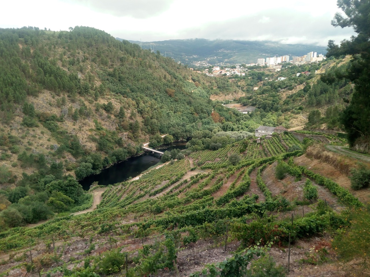 IMG 20200627 105812