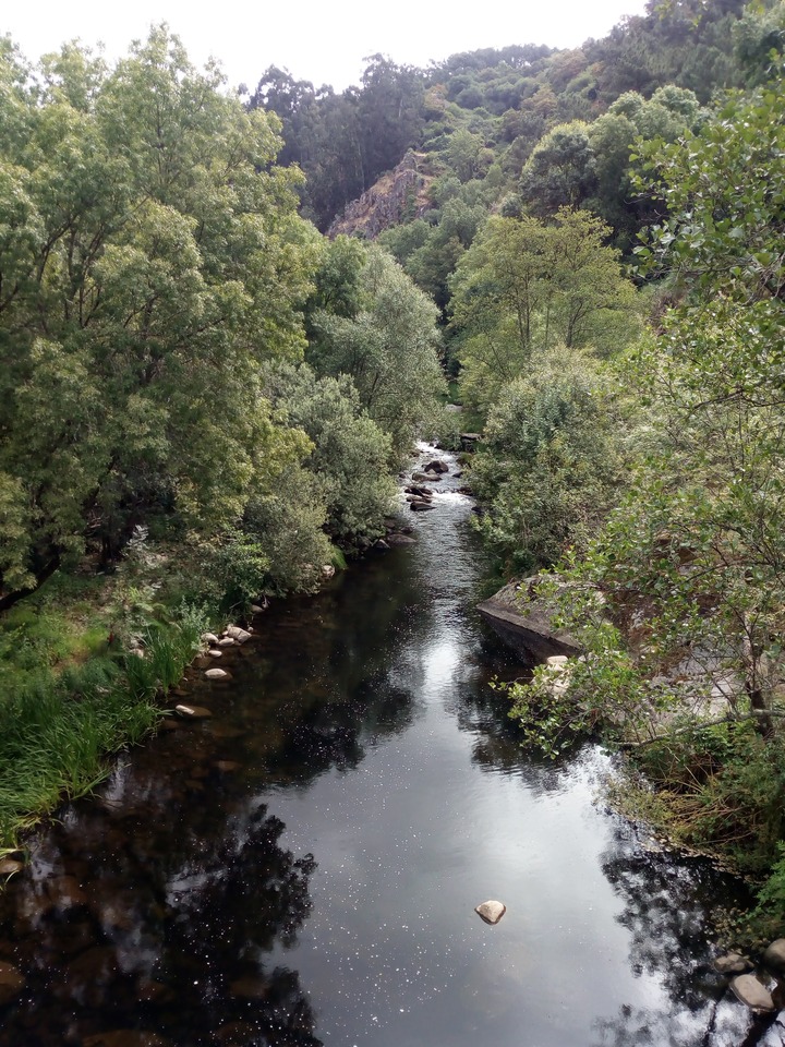 IMG 20200627 110850
