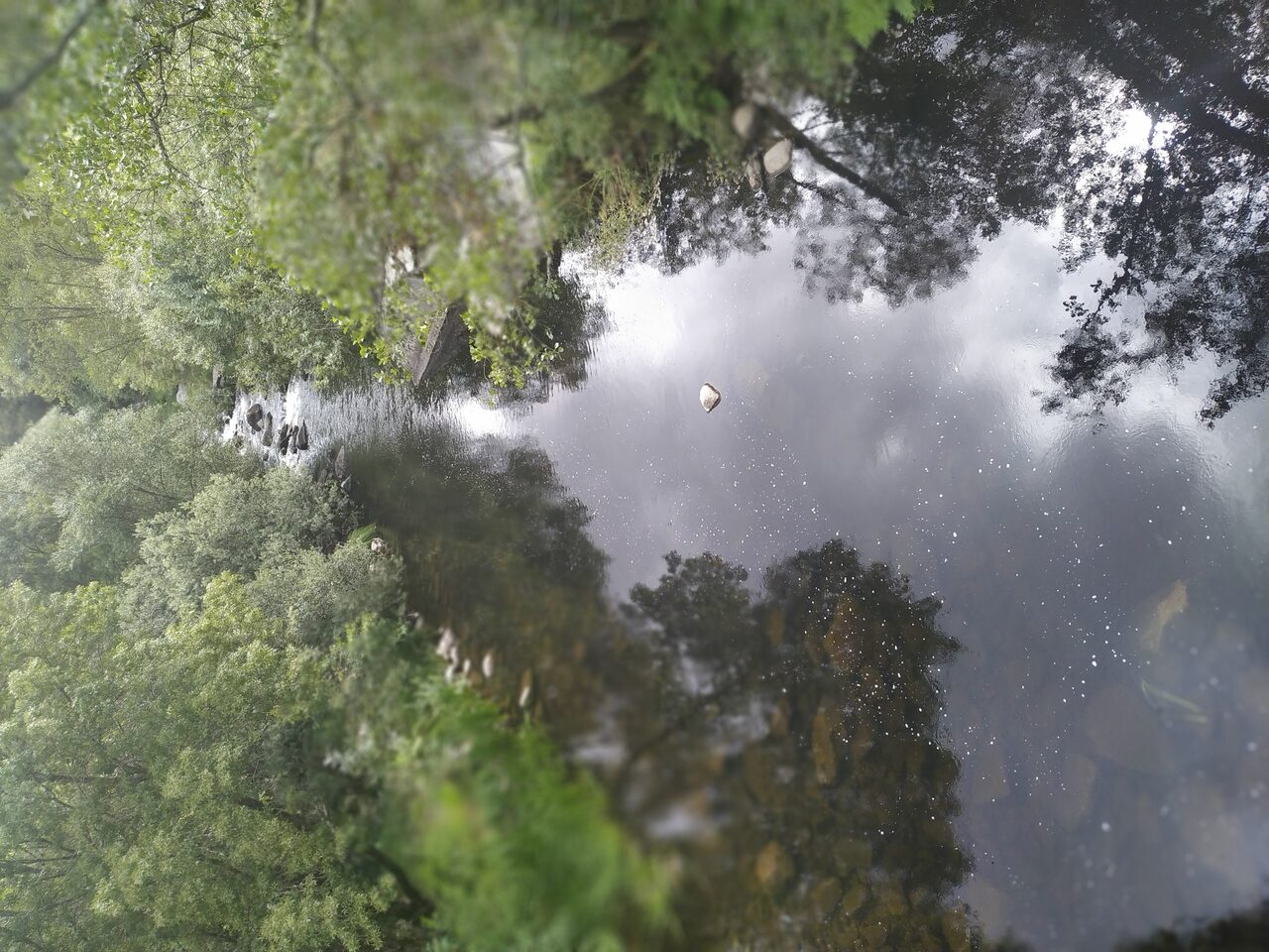 IMG 20200627 110855