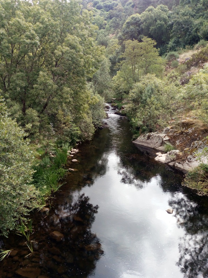 IMG 20200627 110936