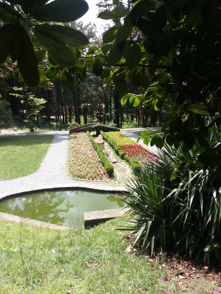 IMG 20200627 121409