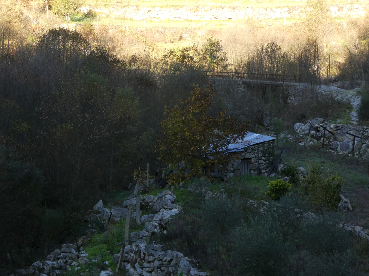 P1000524