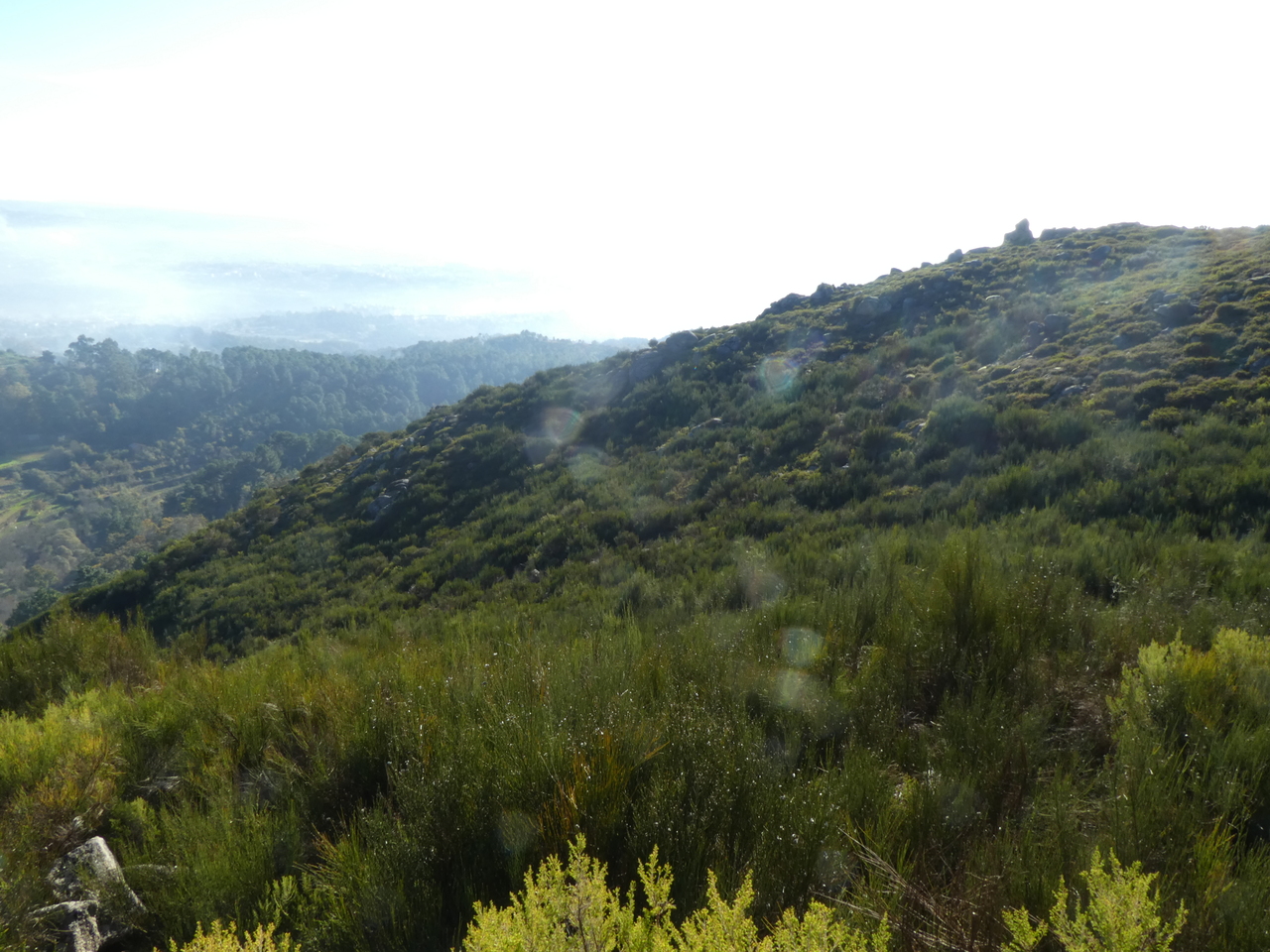 P1000532