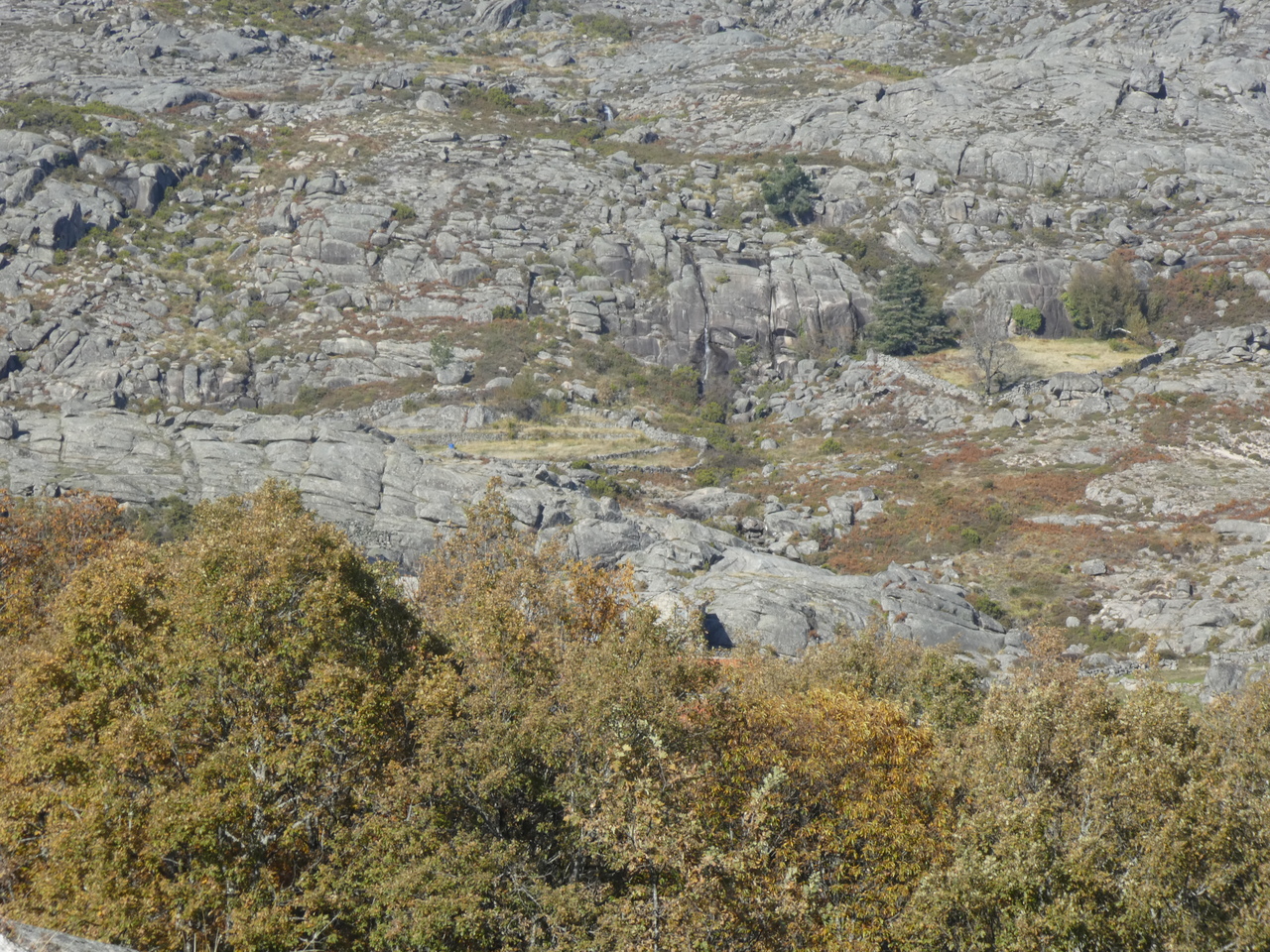 P1000545