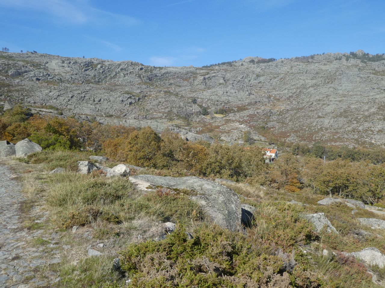 P1000546