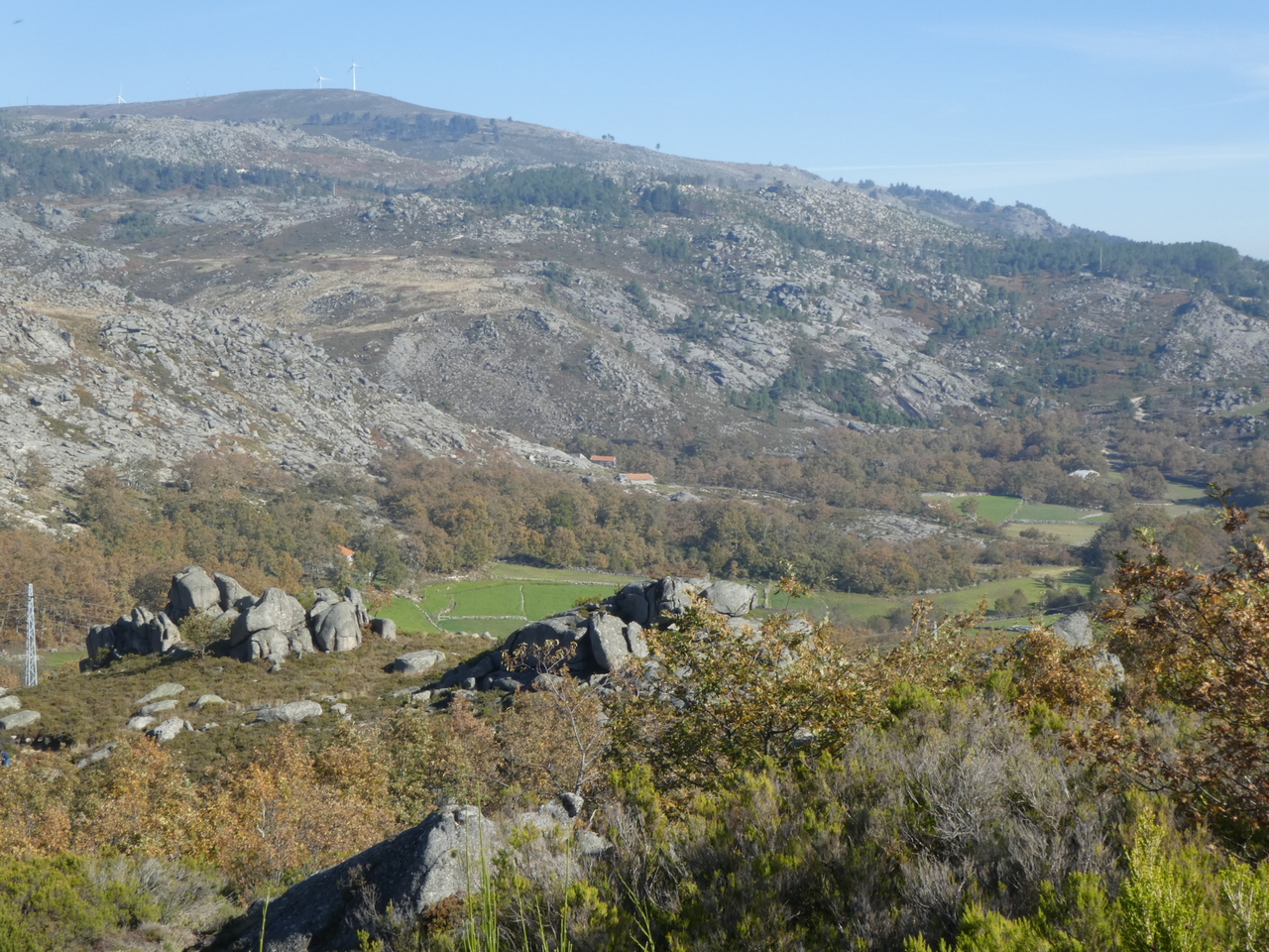 P1000547