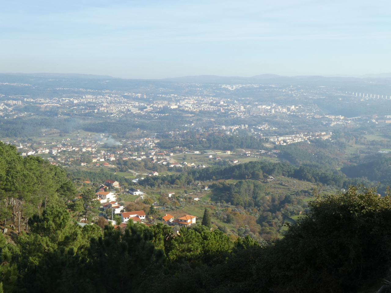 P1000551