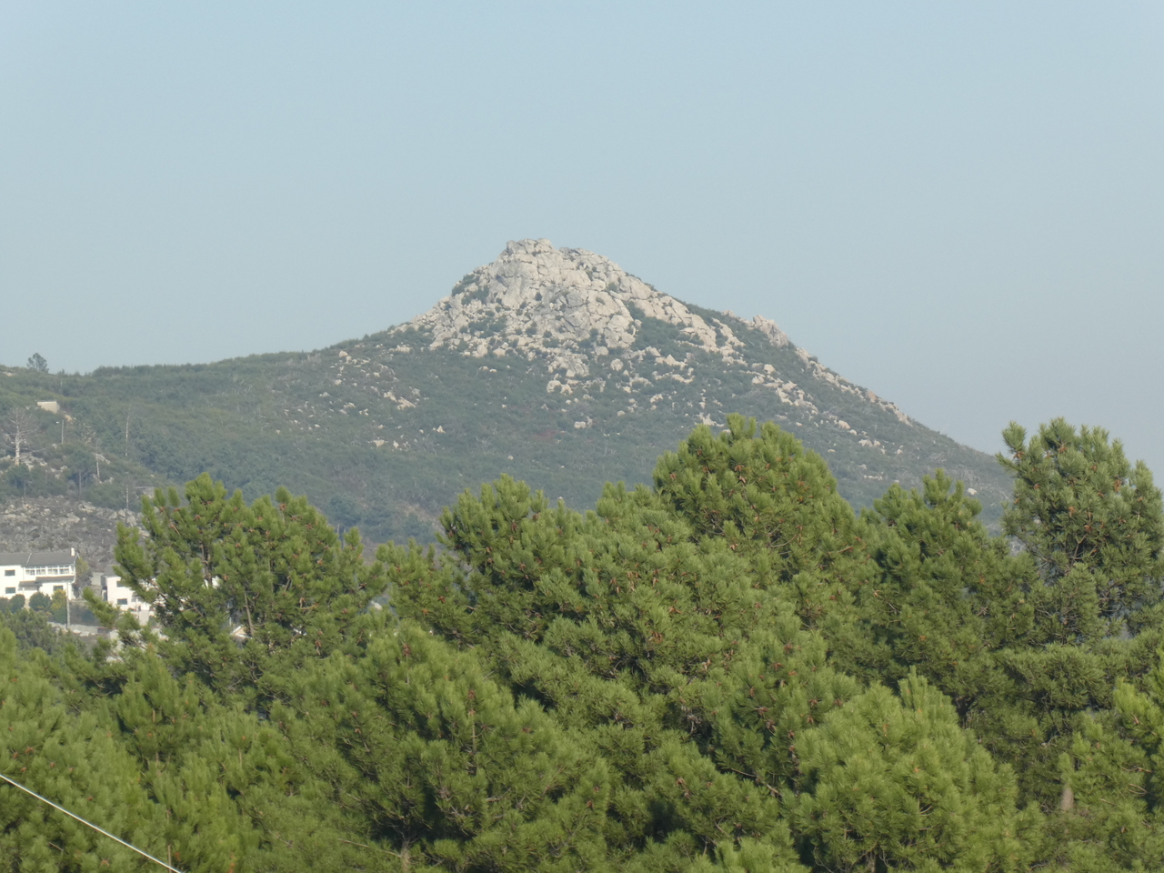 P1000554