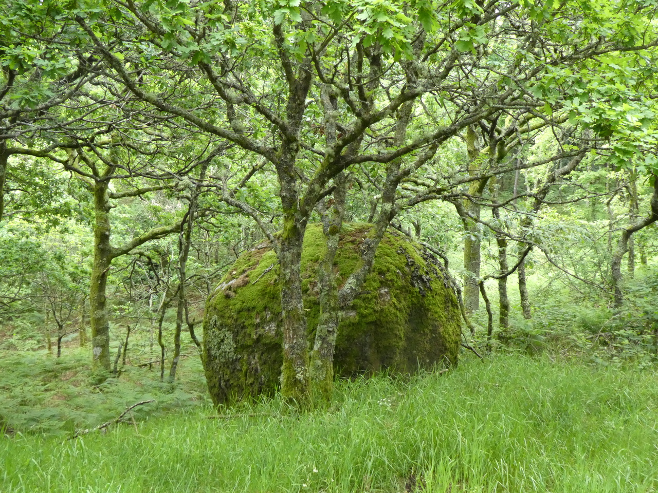 P1000271