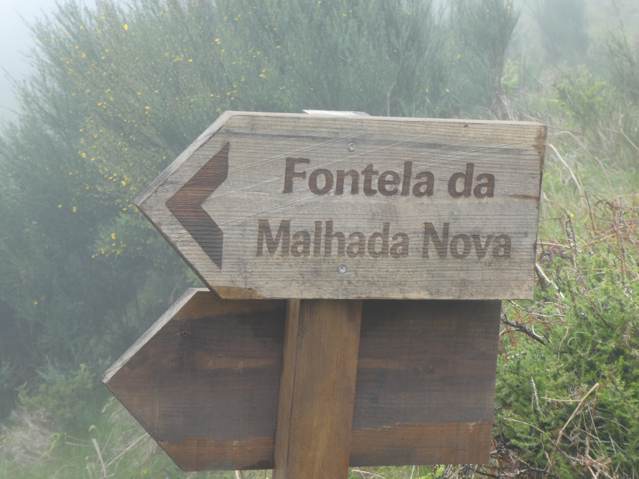 P1000283