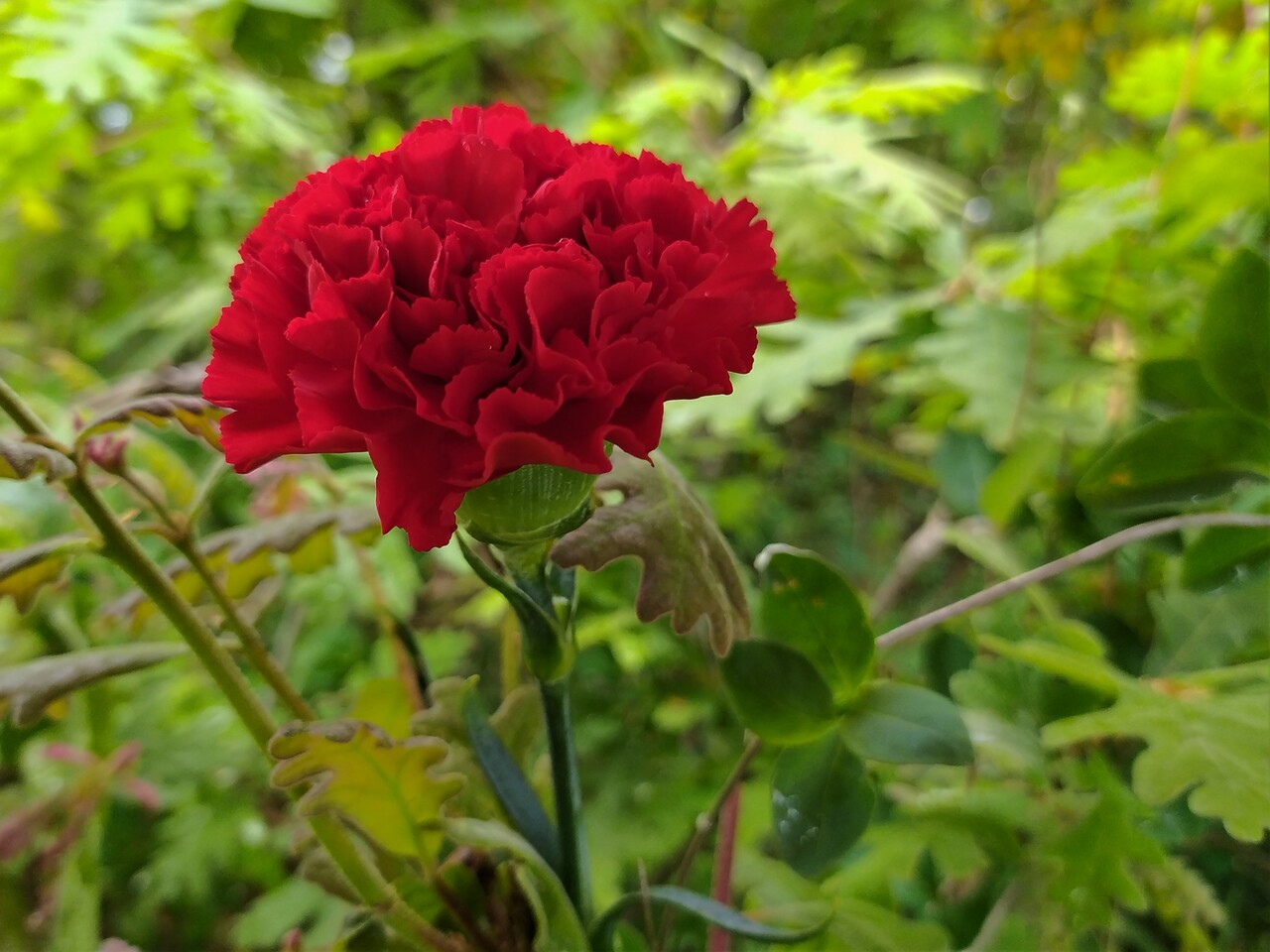 IMG 20210425 152259 1
