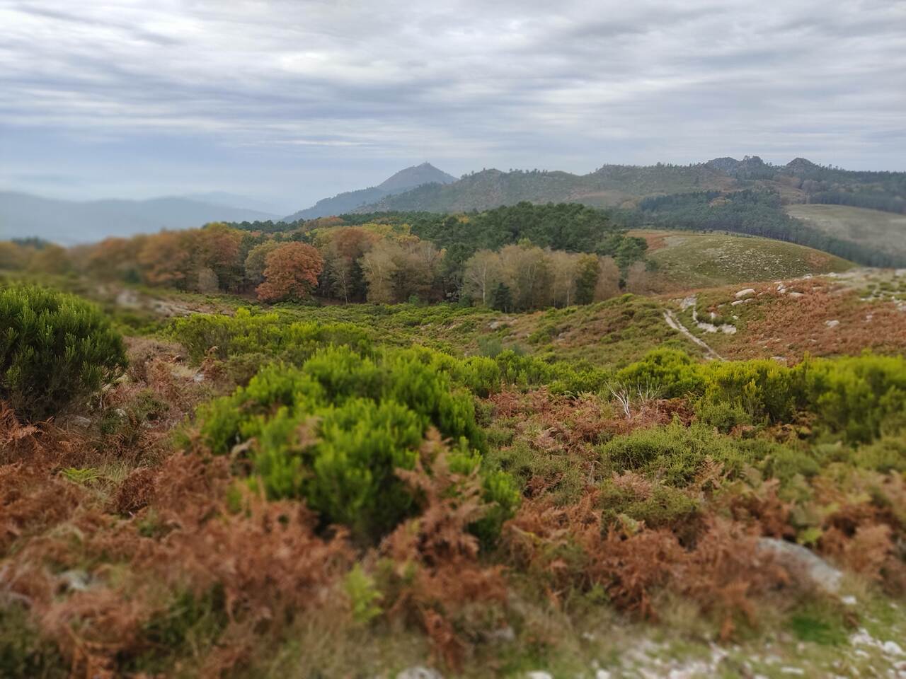 IMG 20211016 112847