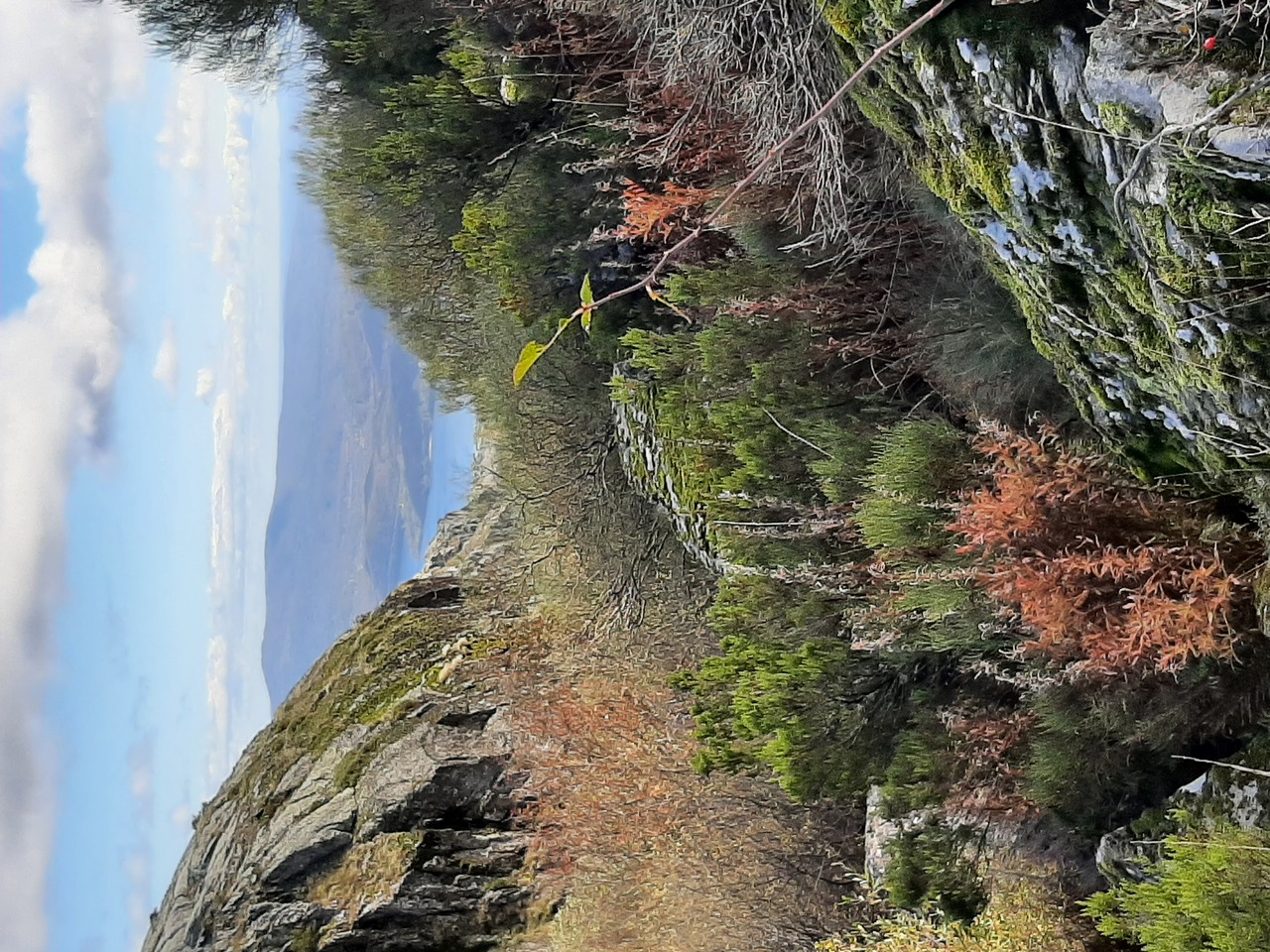 2021 11 01 12 34 10