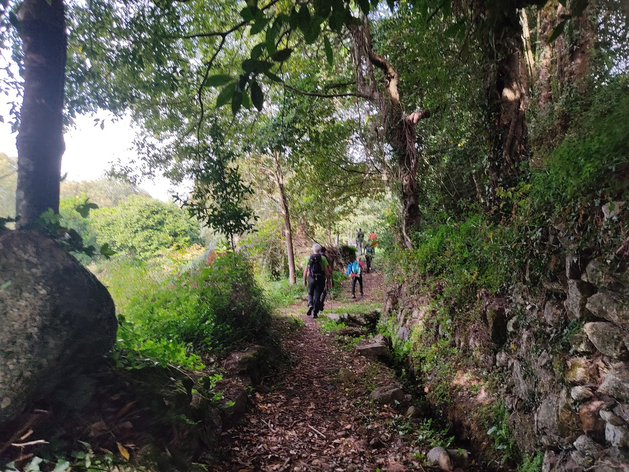 IMG 20211002 105832