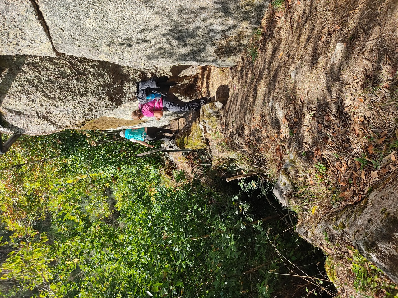 IMG 20211002 114350