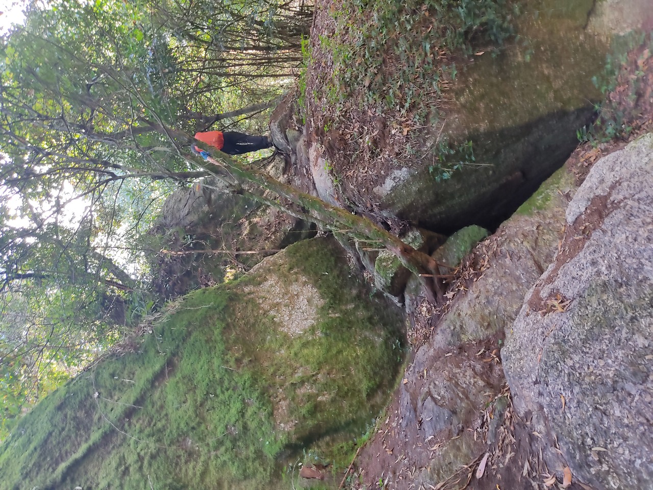 IMG 20211002 115039