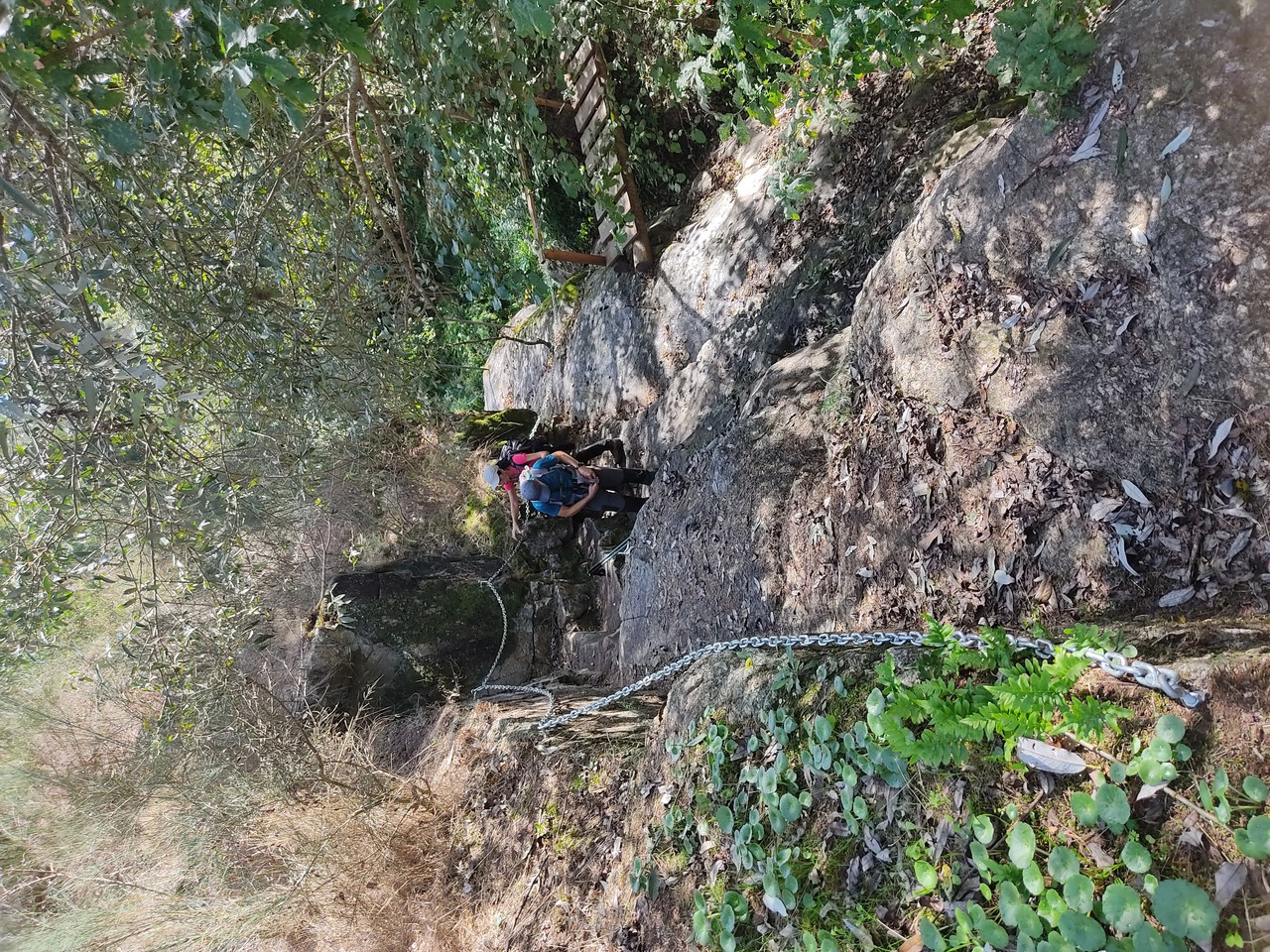 IMG 20211002 115628