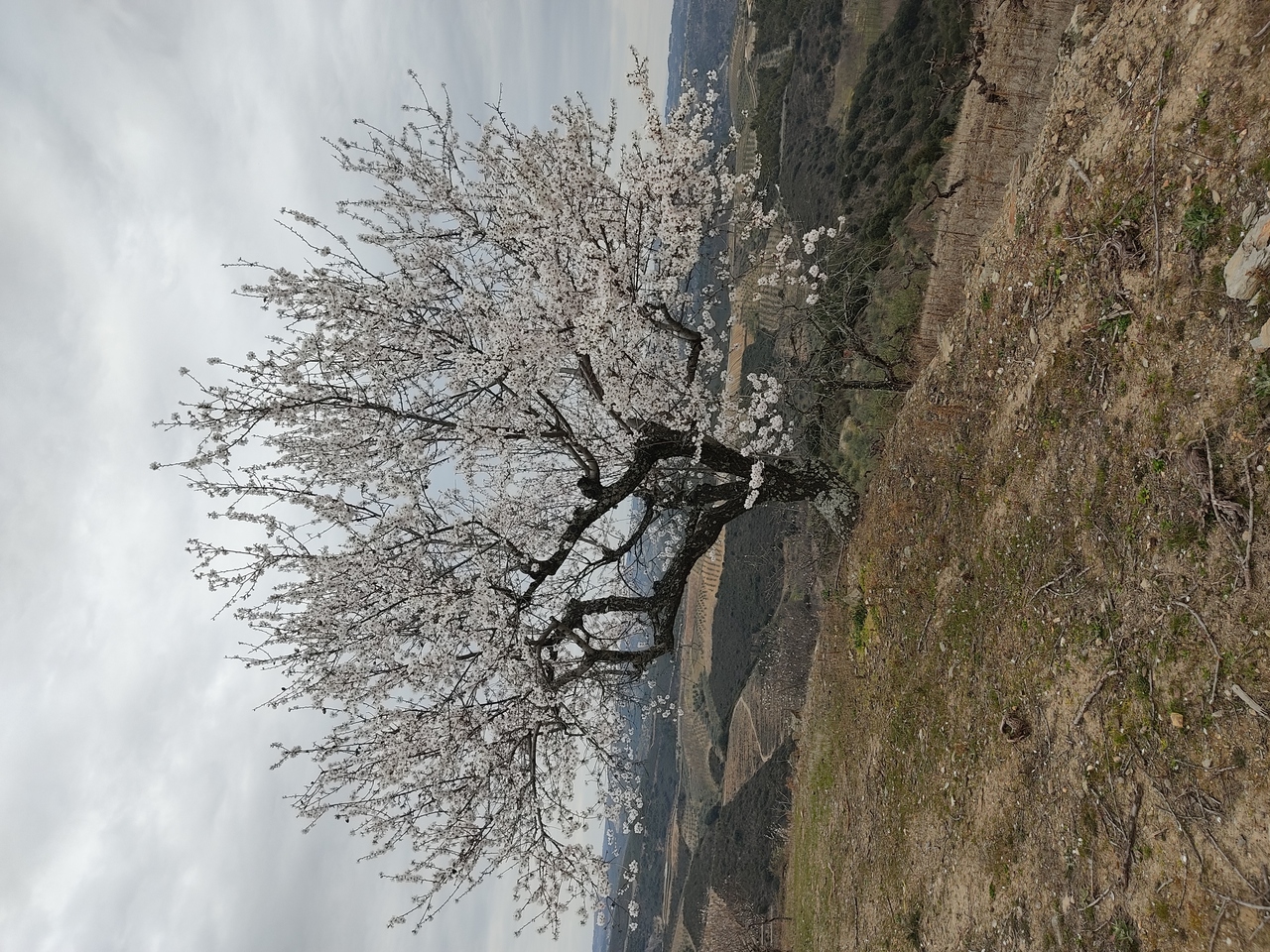IMG 20220226 124929