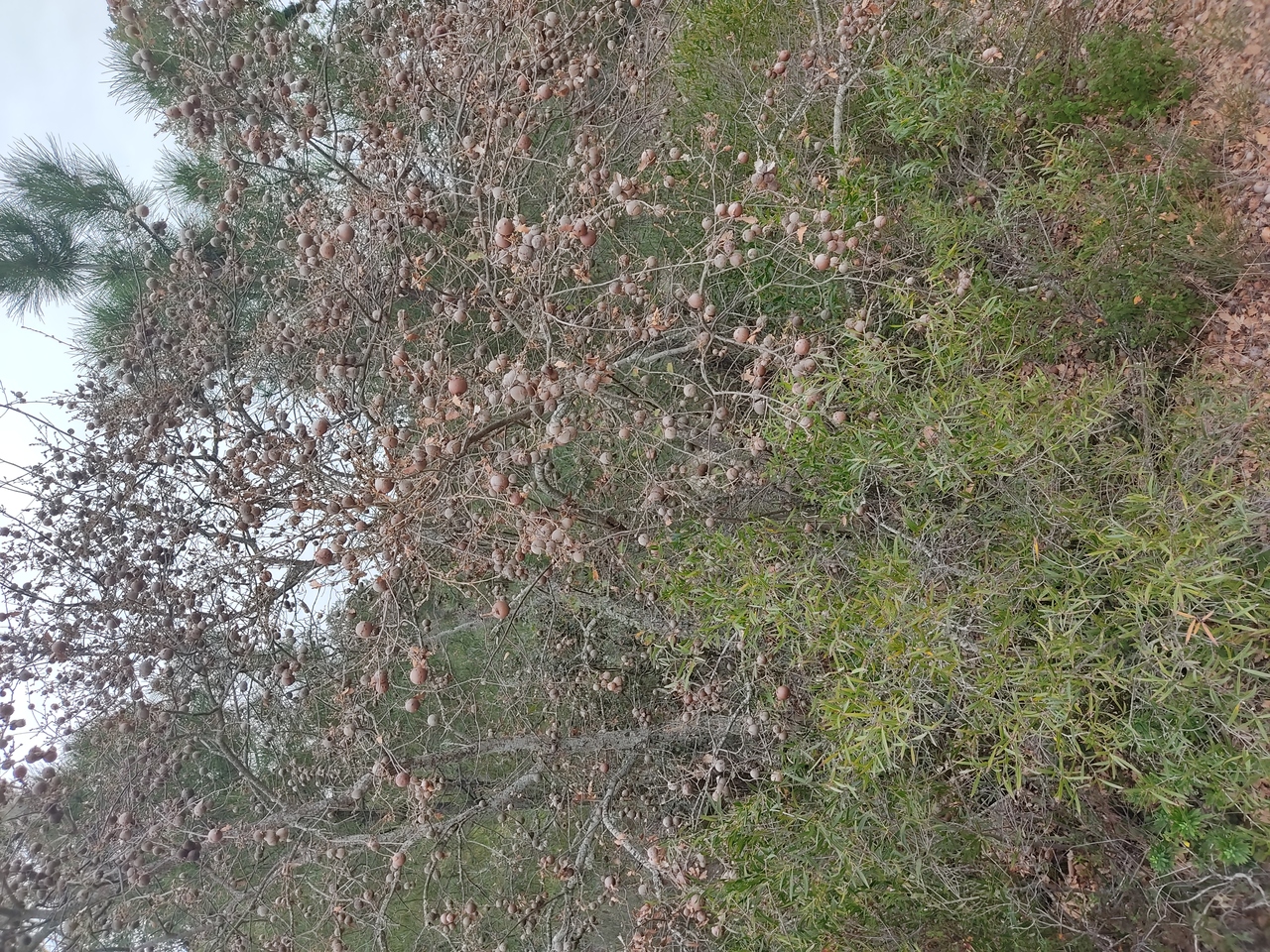 IMG 20220226 151223