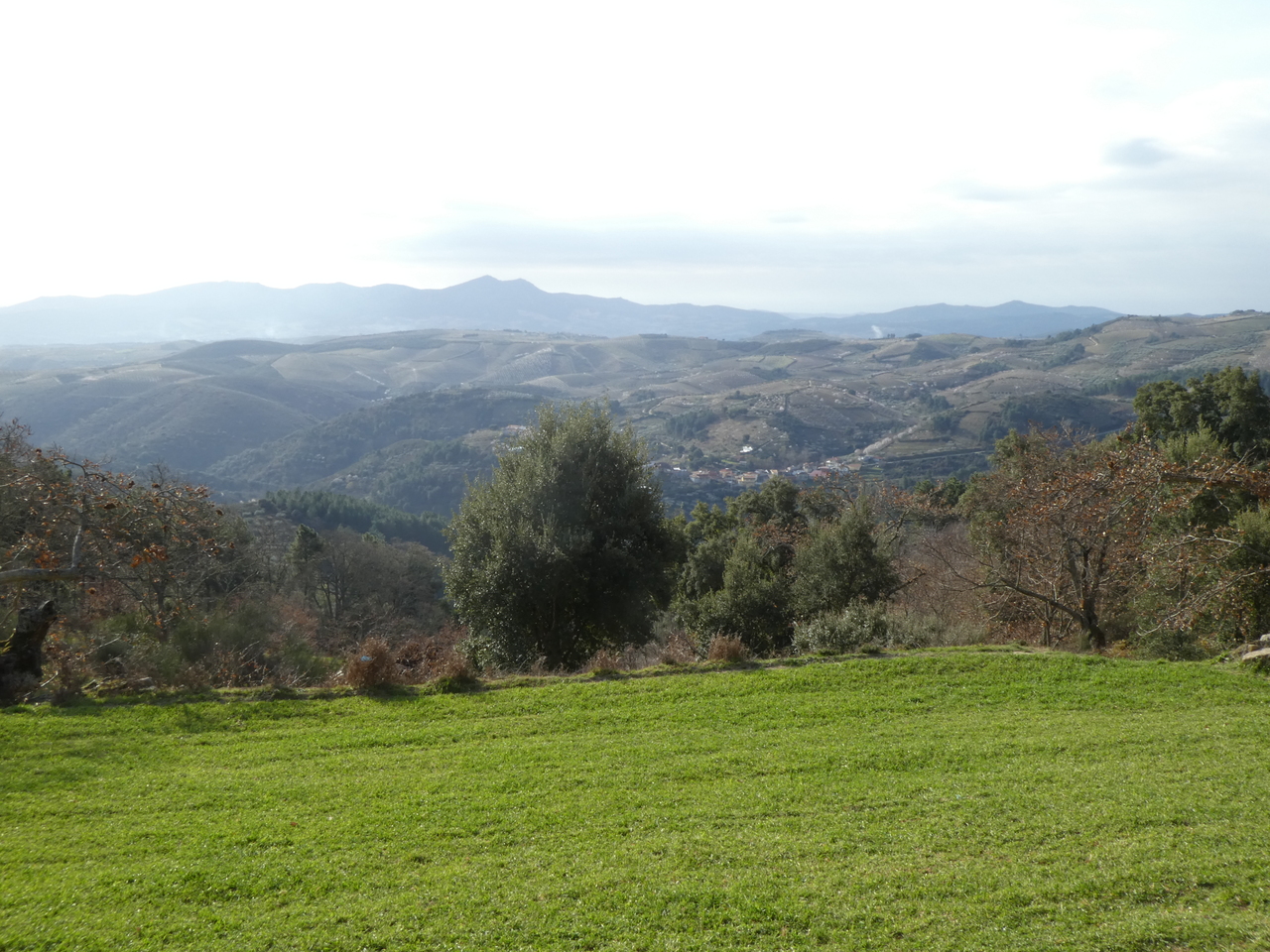 P1010074