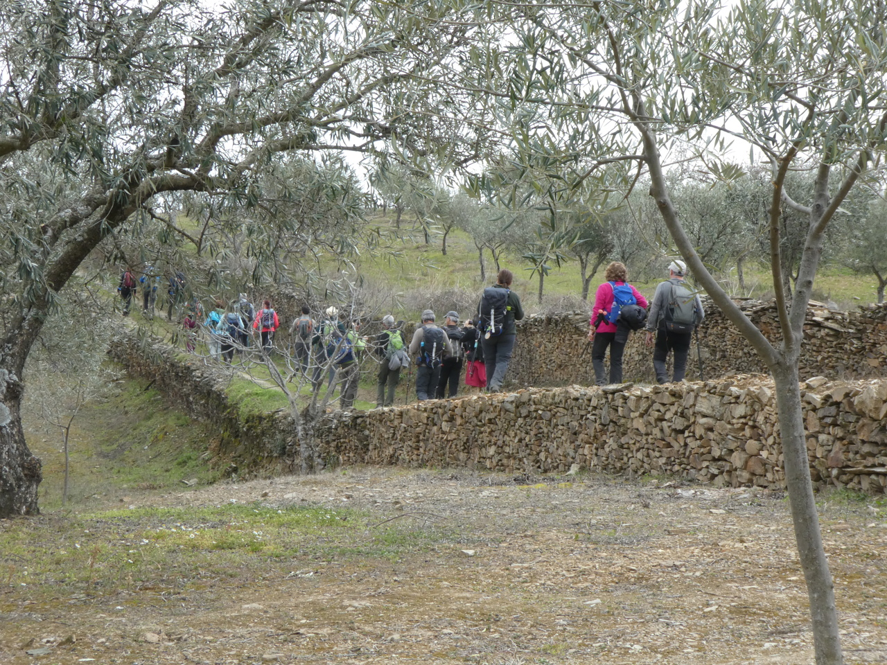 P1010094