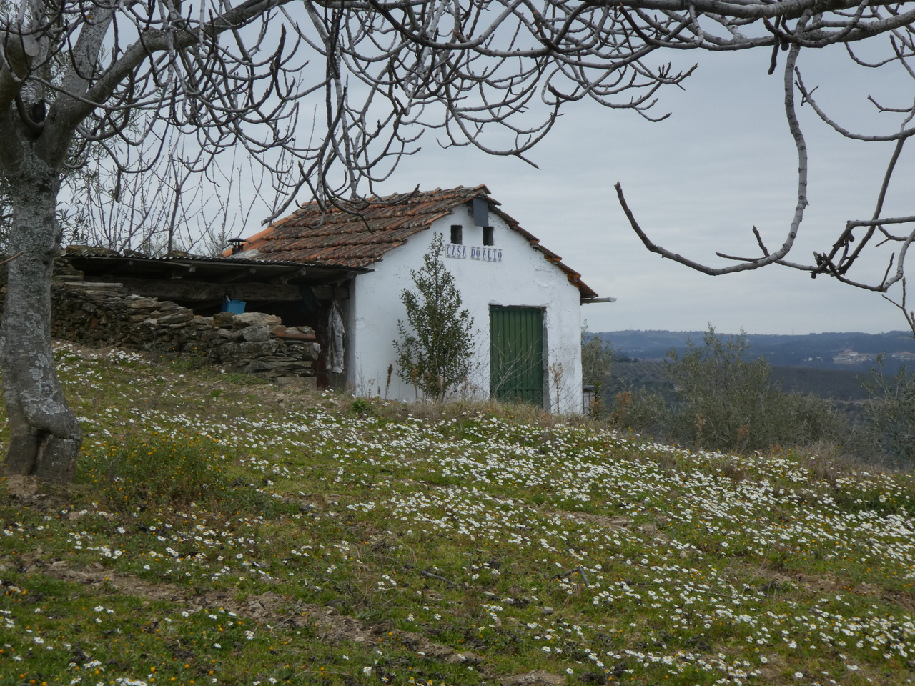 P1010097