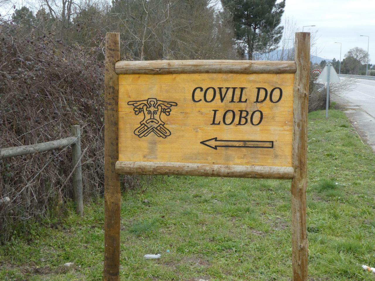 P1010115