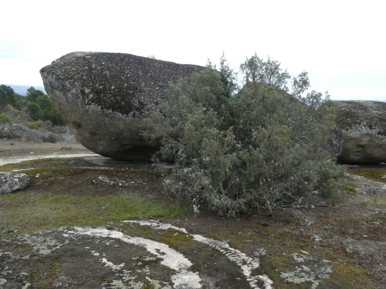 P1010118